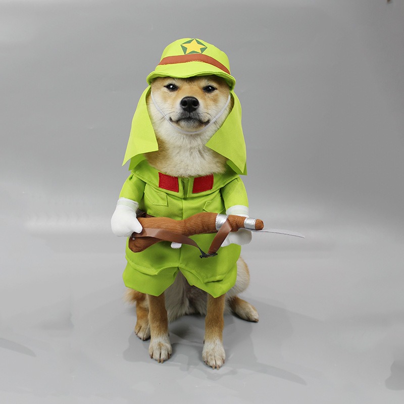 Fantasia Transformação Engraçada para Cão/Gato 🐶🐱